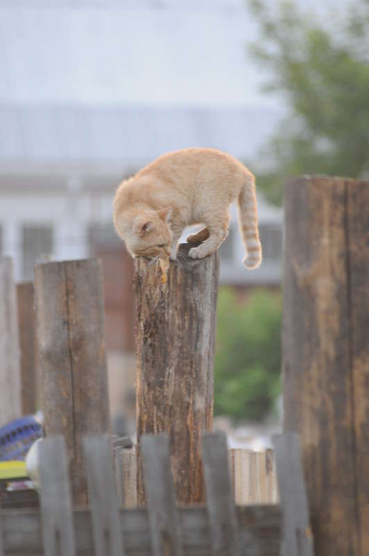 ����� ���������.������ ����� �����  �� PhotoGeek.ru #�������� ���