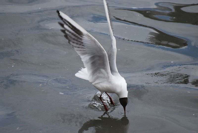 ������ ����� �����  �� PhotoGeek.ru #�������� ��� #����� ��� ��� ���������