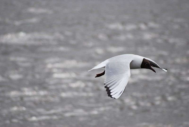 ������ ����������� ����� �����  �� PhotoGeek.ru #�������� ��� #����� ��� ��� ���������