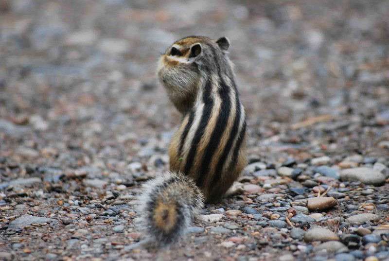 ������� ����� �����  �� PhotoGeek.ru #�������� ��� #����� ��� ��� ���������