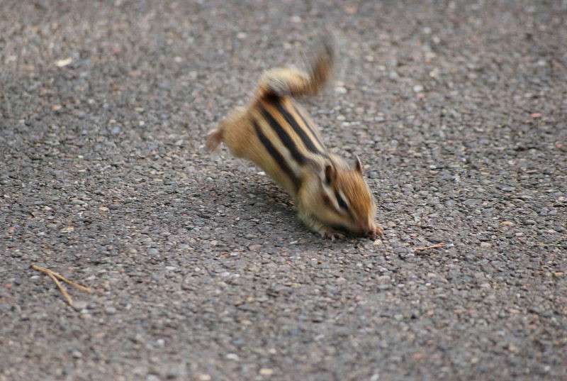 ������ ����� �����  �� PhotoGeek.ru #�������� ��� #����� ��� ��� ���������