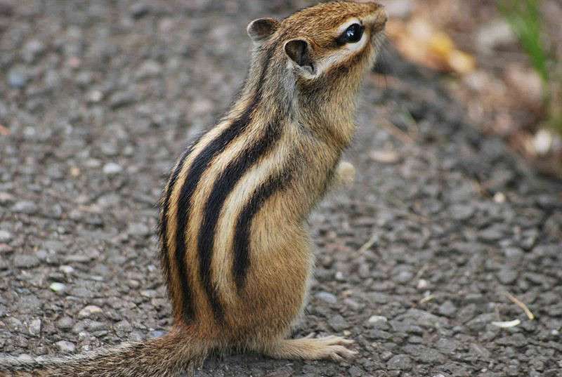 �����������������:) ����� �����  �� PhotoGeek.ru #�������� ��� #����� ��� ��� ���������