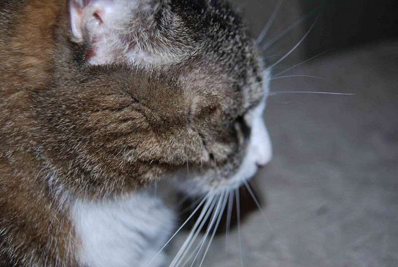 ���������� ����� �����  �� PhotoGeek.ru #������� #��������