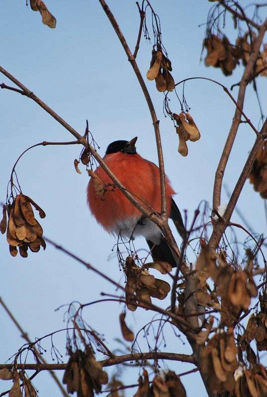 �����-������ ����� �����  �� PhotoGeek.ru #�������� ��� #����� ��� ��� ���������