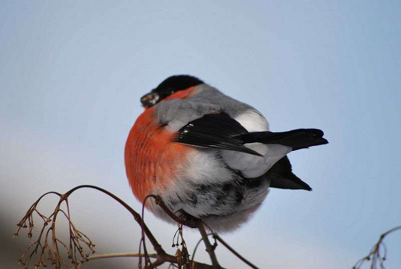 ����� ����� �����  �� PhotoGeek.ru #�������� ��� #����� ��� ��� ���������