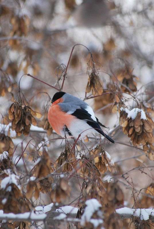 � �� ���,������ �� ����� -32 ����� �����  �� PhotoGeek.ru #�������� ��� #����� ��� ��� ���������