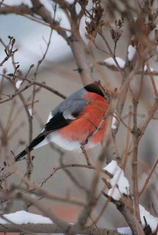 �������� ����� ����� �����  �� PhotoGeek.ru #�������� ��� #����� ��� ��� ���������