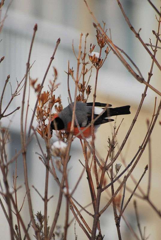 ������� ����������� ����� �����  �� PhotoGeek.ru #�������� ��� #����� ��� ��� ���������