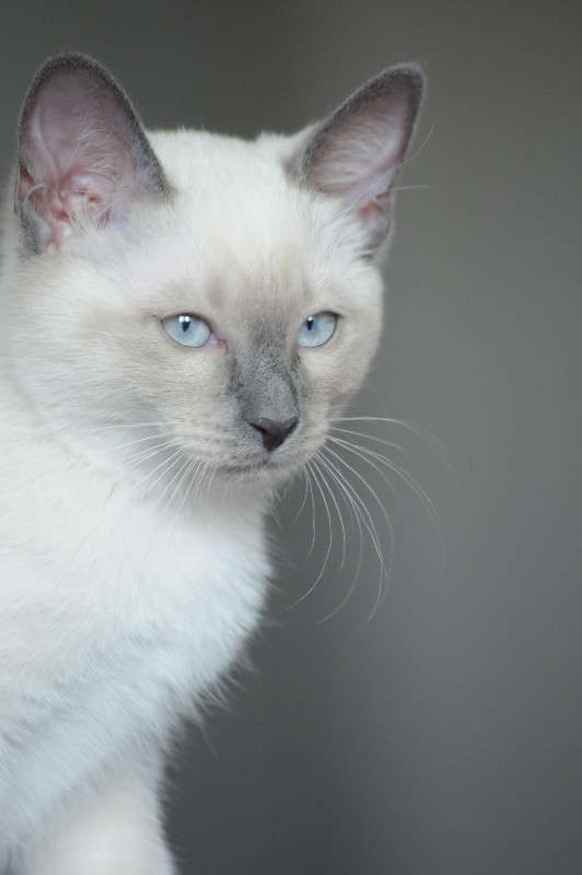 � �������.... ����� �����  �� PhotoGeek.ru #�������� ���