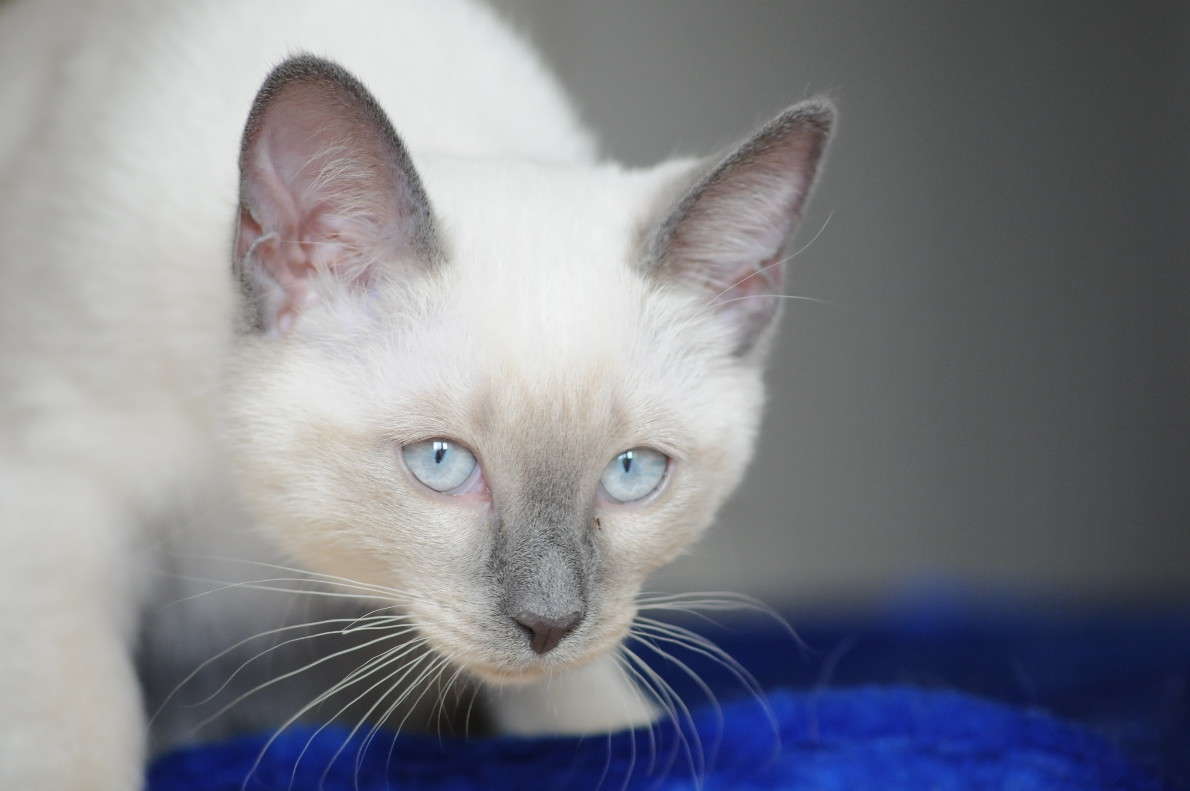 �� �� ������.... ����� �����  �� PhotoGeek.ru #�������� ���