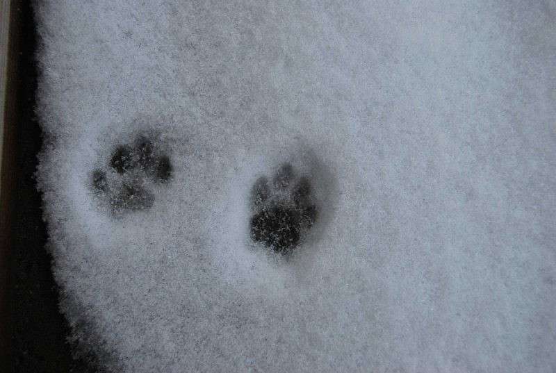 ��� �������� ��� �����.... ����� �����  �� PhotoGeek.ru #�������� ��� #�������� ���