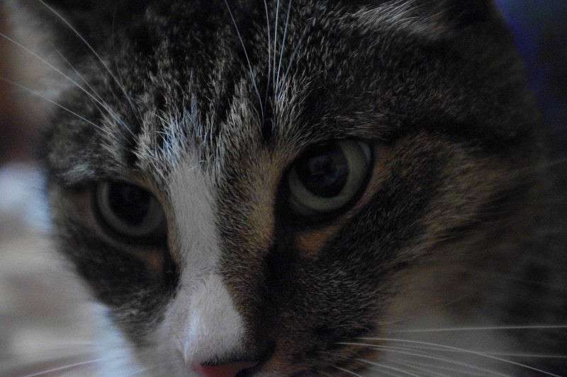 ��� ����� �������� ����� �����  �� PhotoGeek.ru #�������� ��� #�������� ���