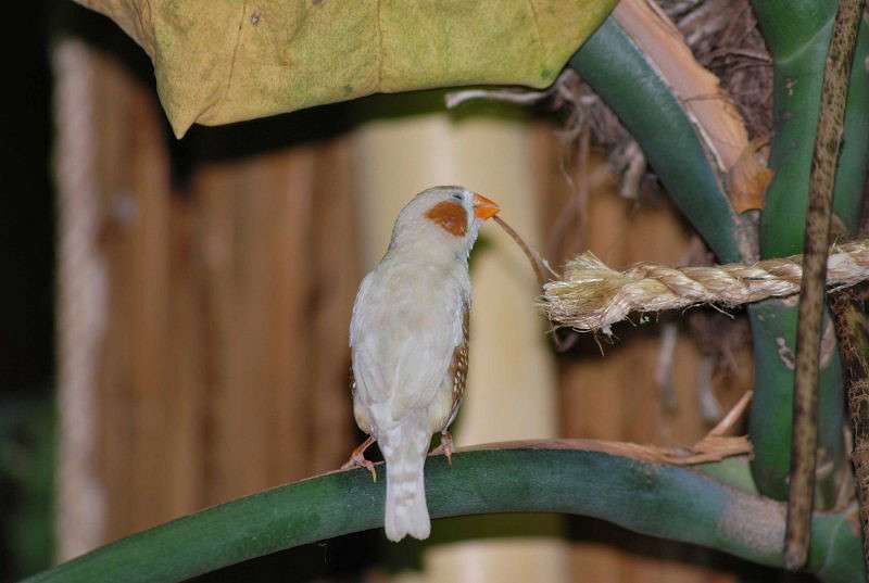 ����� ��������:) ����� �����  �� PhotoGeek.ru #�������� ��� #����� ��� ��� ���������