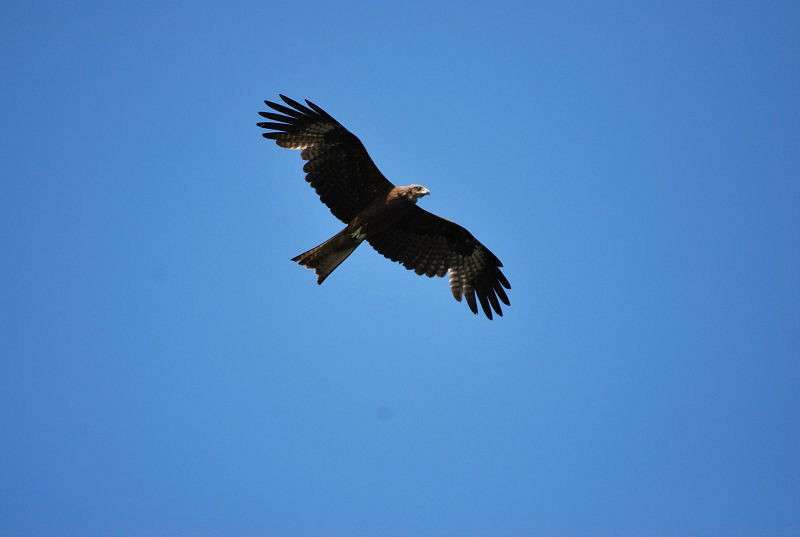 ������ ������, ��� �� ����.... ����� �����  �� PhotoGeek.ru #�������� ��� #����� ��� ��� ���������