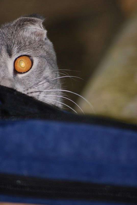 ������ ����:) ����� �����  �� PhotoGeek.ru #�������� ��� #�������� ���