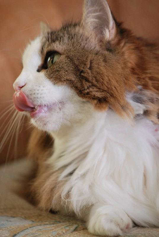 ������� ����� �����  �� PhotoGeek.ru #�������� ��� #�������� ���