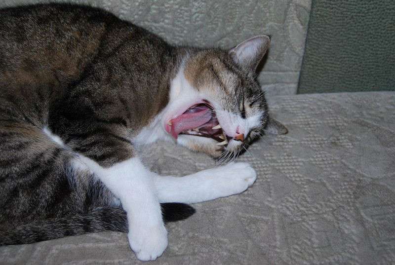 �������� ����� �����  �� PhotoGeek.ru #�������� ��� #�������� ���