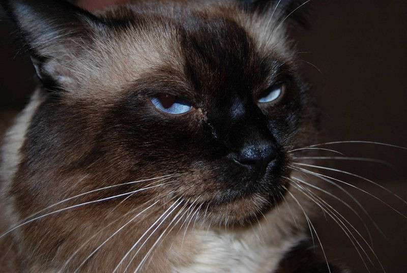 ����������� ����� �����  �� PhotoGeek.ru #�������� ��� #�������� ���