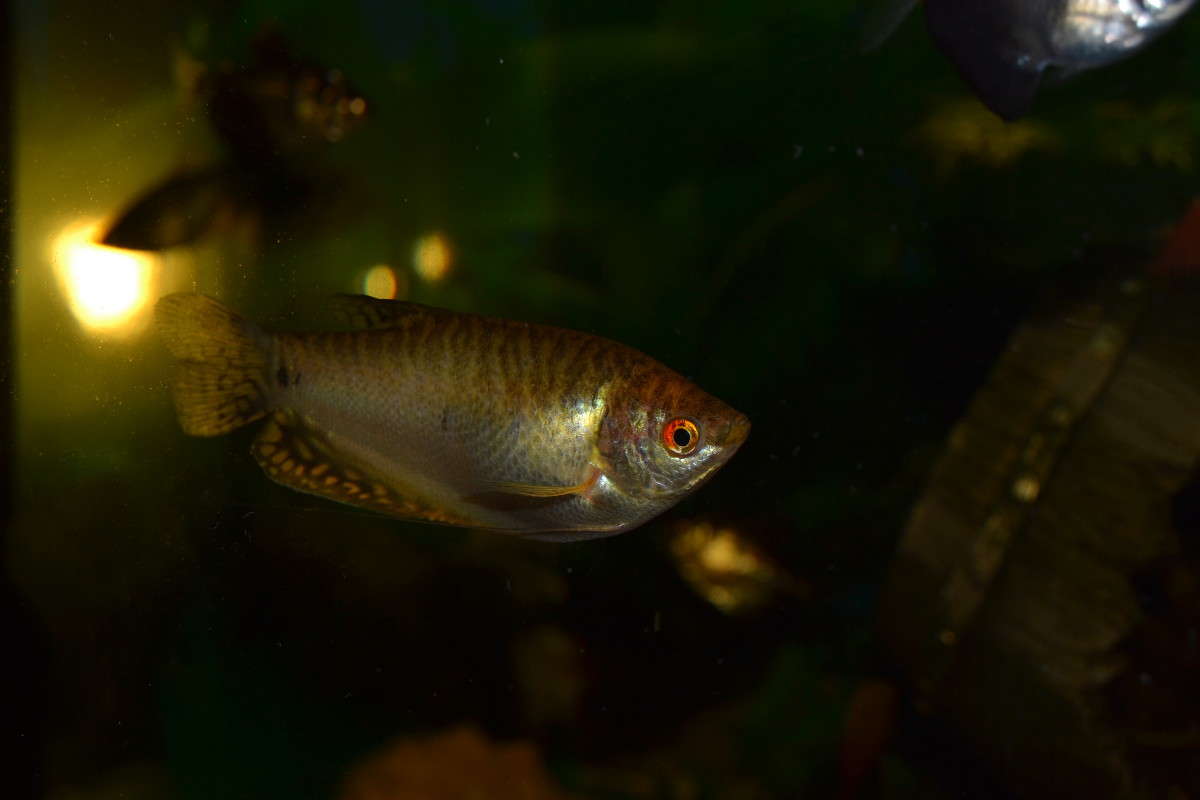 ... ����� ����������  �� PhotoGeek.ru #�������� ���