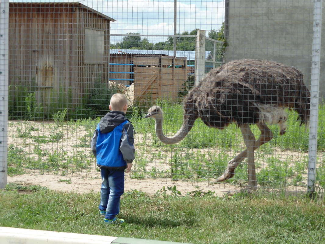 ... ����� ����������  �� PhotoGeek.ru #�������� ���