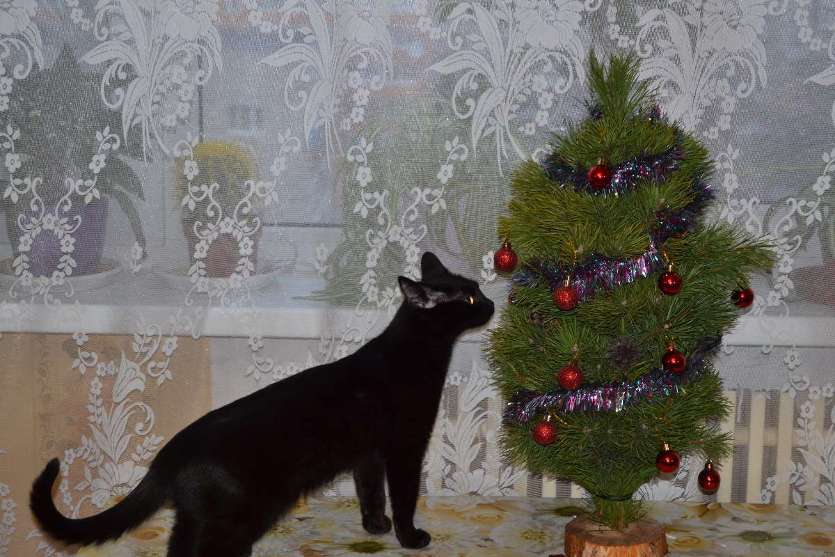 ... ����� ����������  �� PhotoGeek.ru #�������� ���