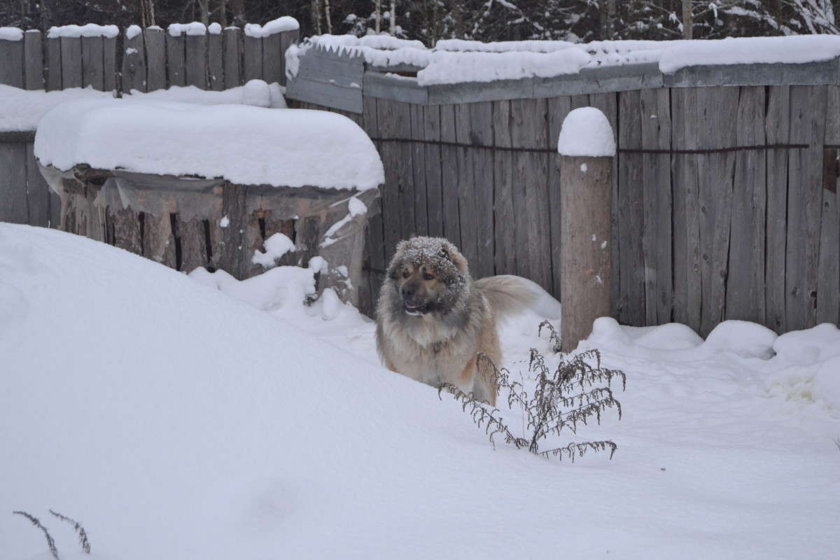 ... ����� ����������  �� PhotoGeek.ru #�������� ���