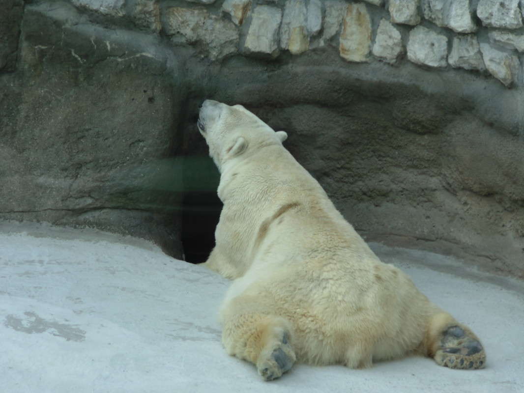 ������� ����� ����������  �� PhotoGeek.ru #�������� ���