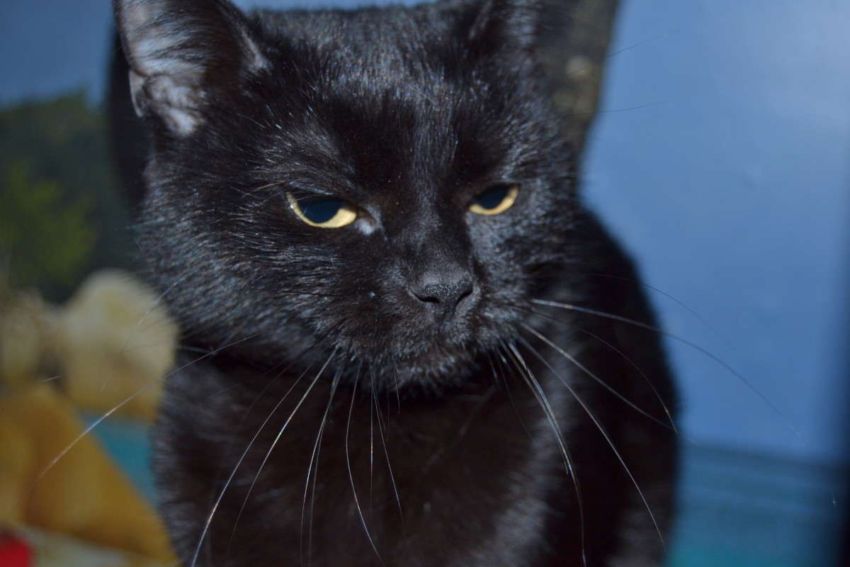 ... ����� ����������  �� PhotoGeek.ru #�������� ���