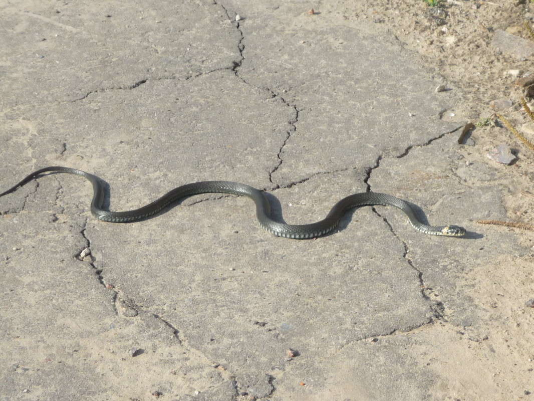 �������� ����� ����������  �� PhotoGeek.ru #������ ��� �������