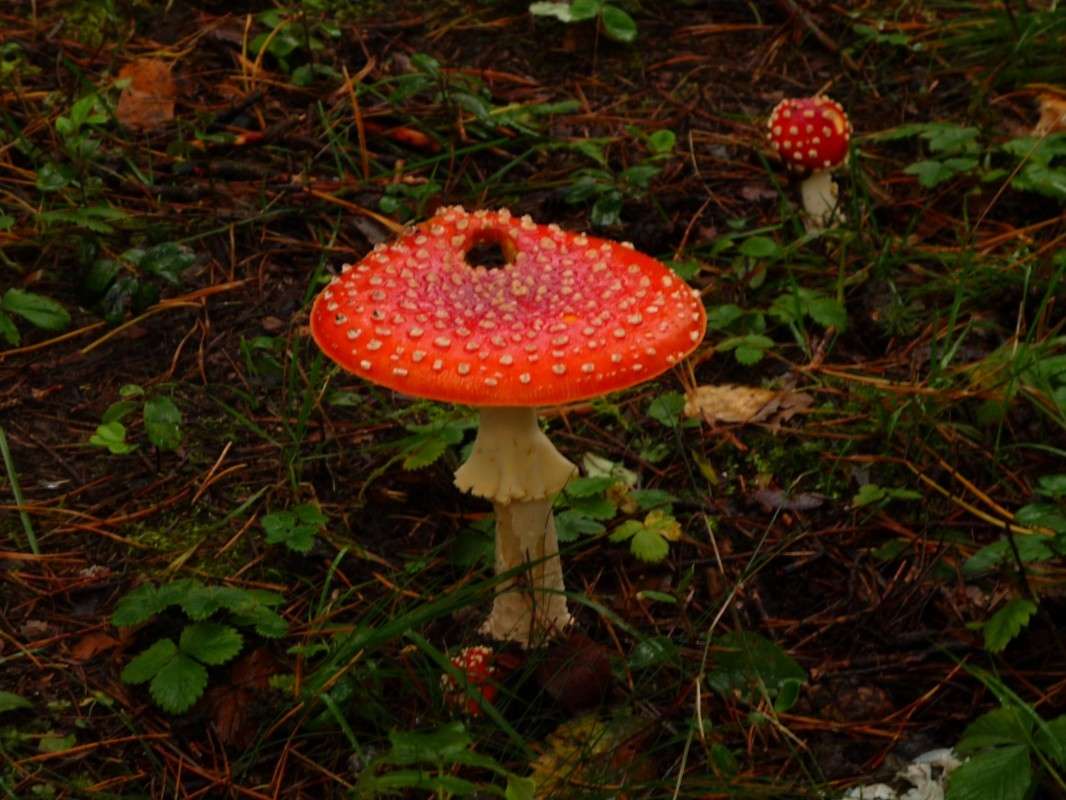 ... ����� ����������  �� PhotoGeek.ru #������ ��� �������