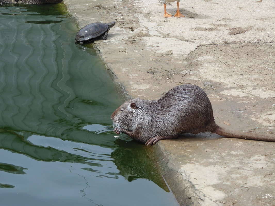 ... ����� ����������  �� PhotoGeek.ru #�������� ���