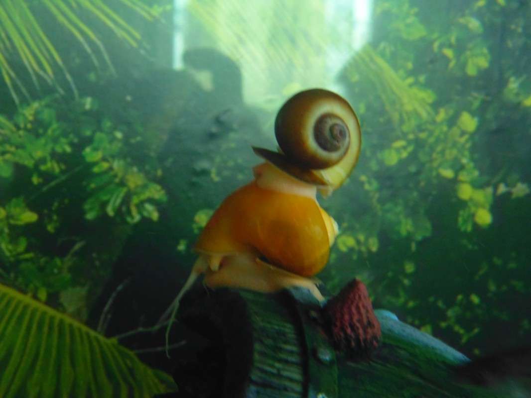 ... ����� ����������  �� PhotoGeek.ru #�������� ���