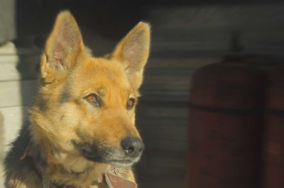 2 ����� ������ ������� �� PhotoGeek.ru #�������� ���