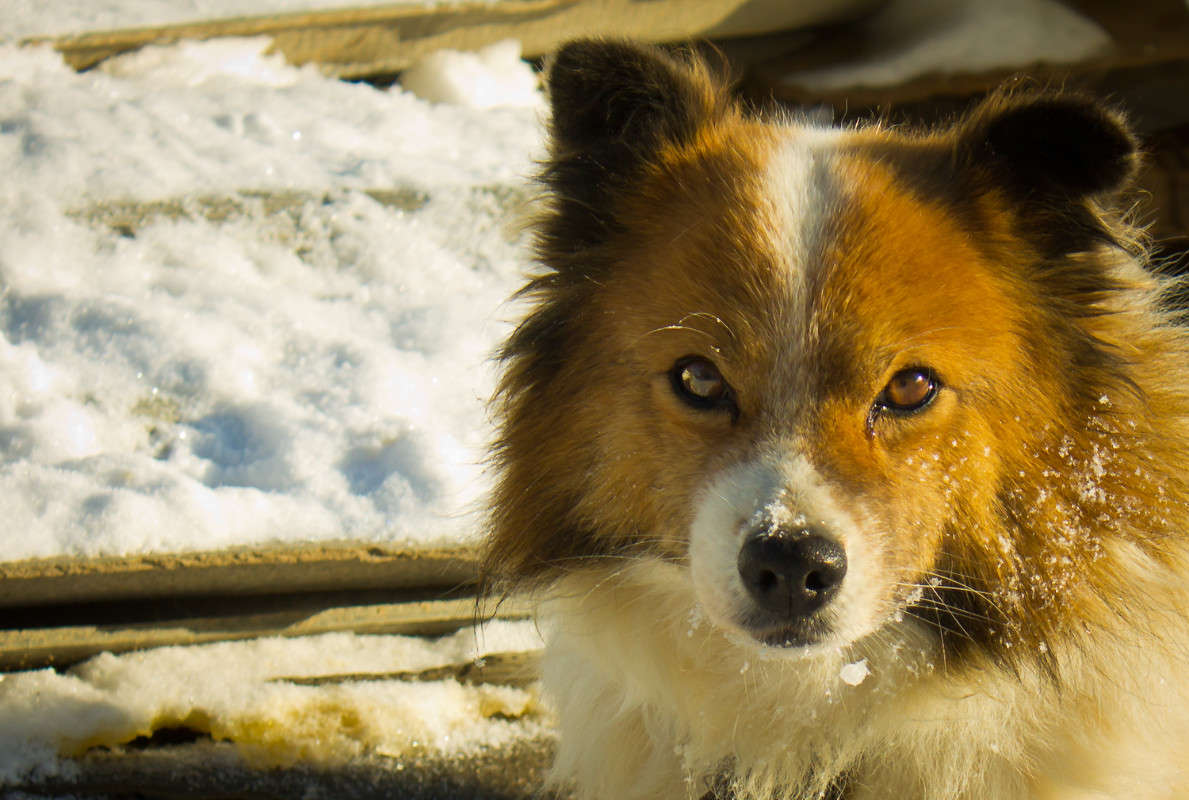 ��� ����� ������ ������� �� PhotoGeek.ru #�������� ��� #�������� ���