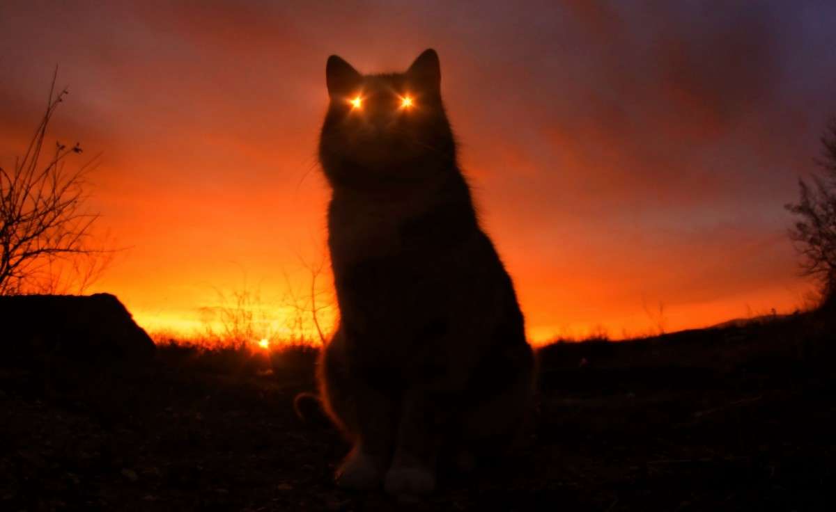 ... ����� Marina J �� PhotoGeek.ru #�������� ��� #�������� ����������