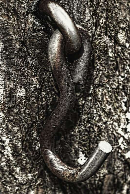 ������ � ����� ����� ���� ��������� �� PhotoGeek.ru #�����