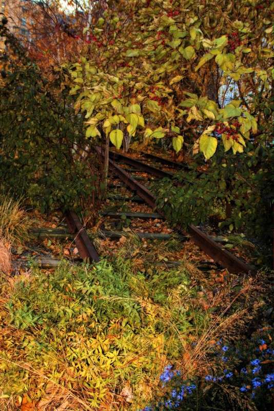 ����������� �����-������� ����� ���� ��������� �� PhotoGeek.ru #����� #High line Park #������ ���� #���-����