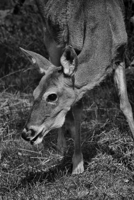 ����� ������������� ������������ ����� ����� ���� ��������� �� PhotoGeek.ru #�������� ��� #����� ��� ��� ��������� #�����-�����