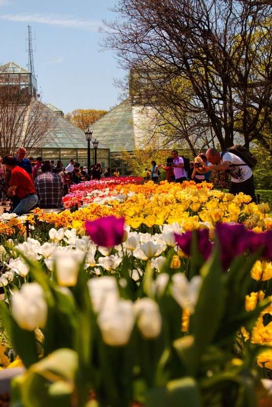 �������� � ����������� ������������ ���� ����� ���� ��������� �� PhotoGeek.ru #�������� ���������� #������������ ��� #������� #��������