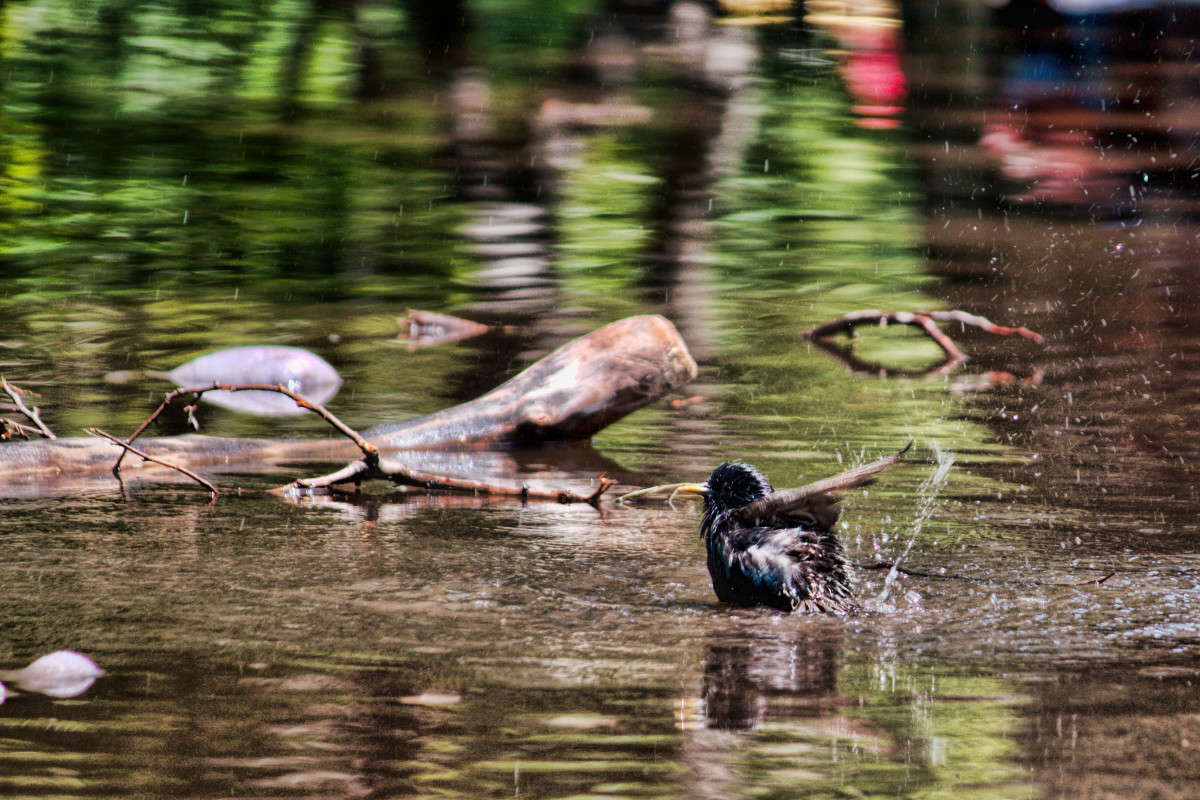 ���������� ������� ������� ����� ���� ��������� �� PhotoGeek.ru #�������� ���