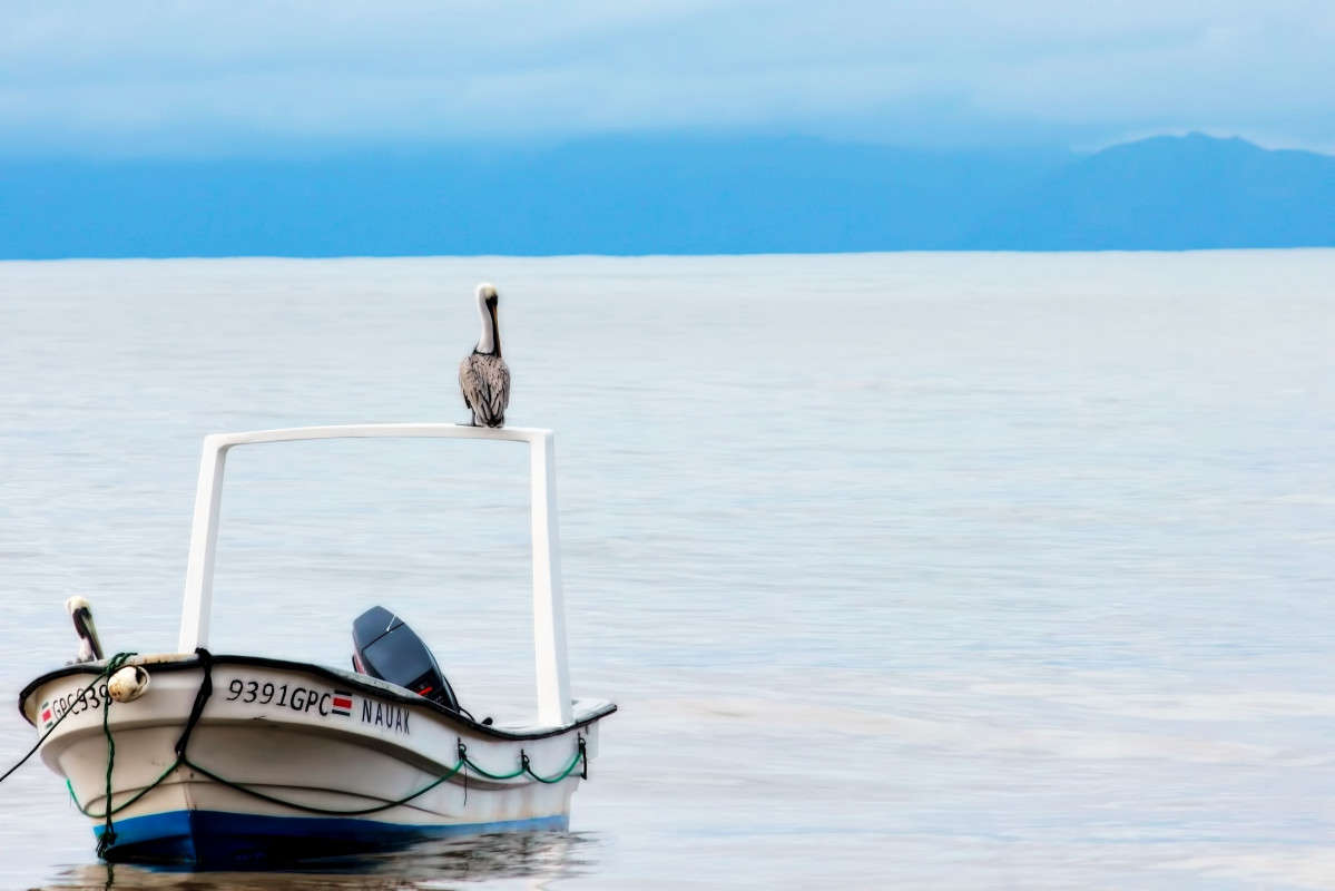 ������� ������� ����� ���� ��������� �� PhotoGeek.ru #������ ��� ������� #��������� #����� �������� #�����-���� #�������