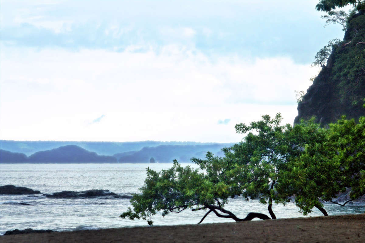 �� ������ ����� ���� ��������� �� PhotoGeek.ru #������ ��� ������� #�����-����