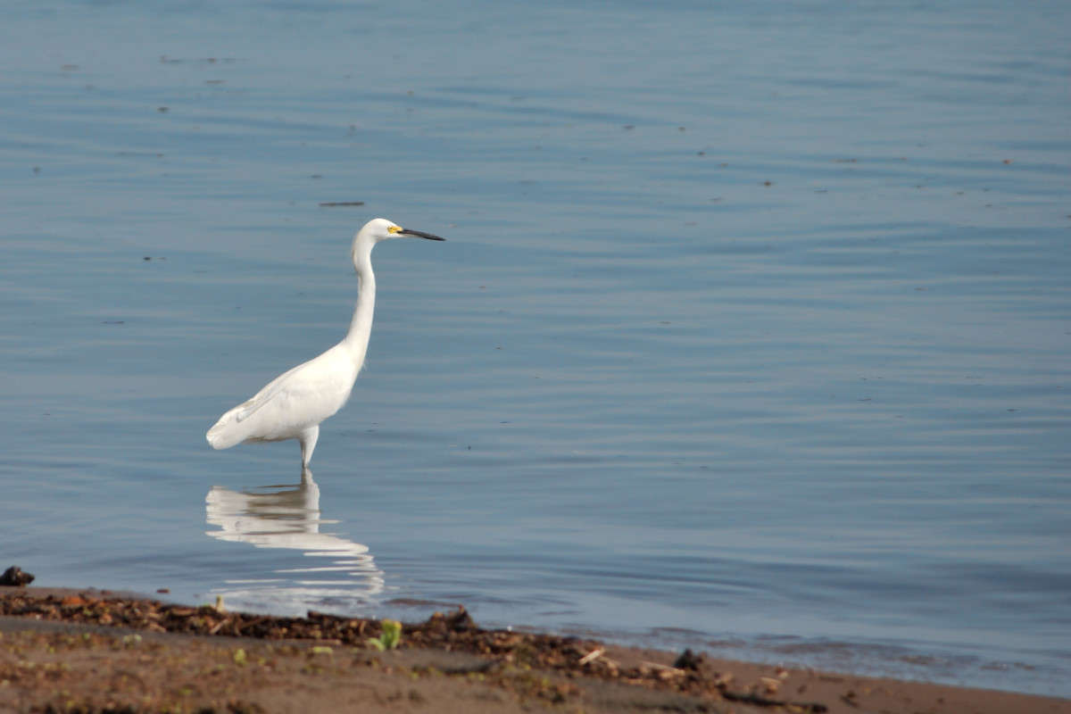 ������ ����� ����� ���� ��������� �� PhotoGeek.ru #�������� ��� #����� ����� #���������