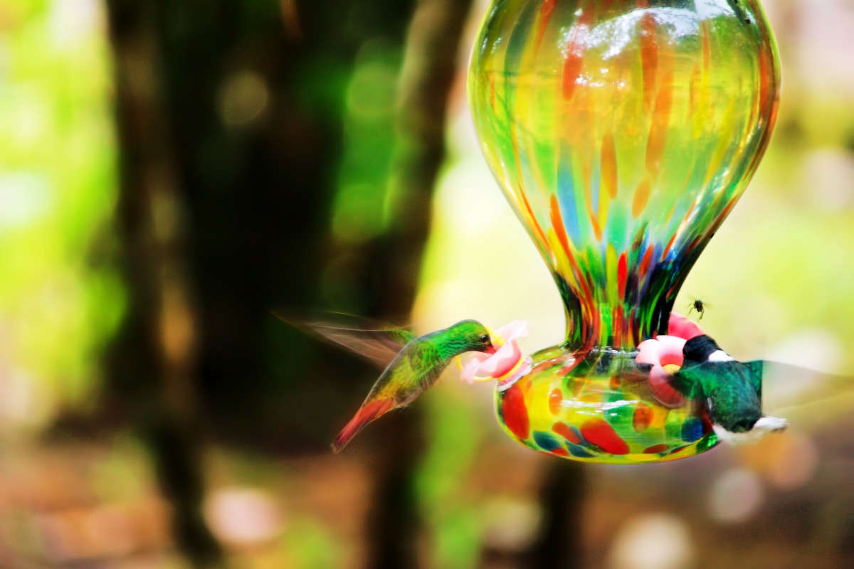 ������� �������� ����� ���� ��������� �� PhotoGeek.ru #�������� ��� #������� #����� ����