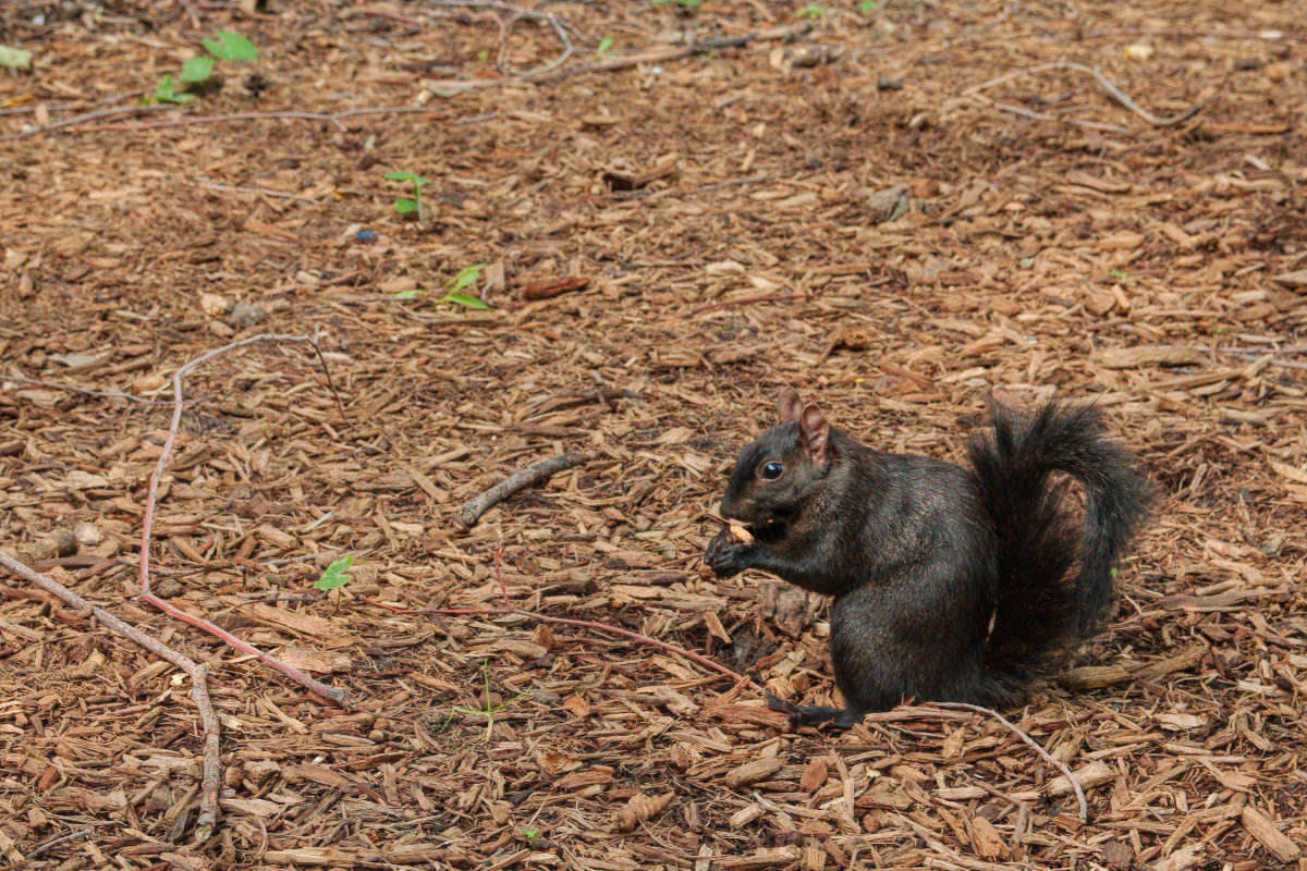 ����-�����-���������� ����� ���� ��������� �� PhotoGeek.ru #����� #�������� ��� #���-���� #���� #�����������������