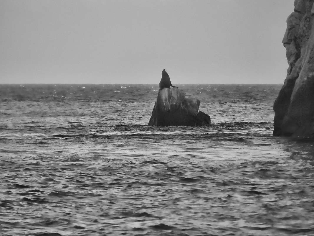 �������� ����� ���� ��������� �� PhotoGeek.ru #���� ���������� #���� ������� #������� ���