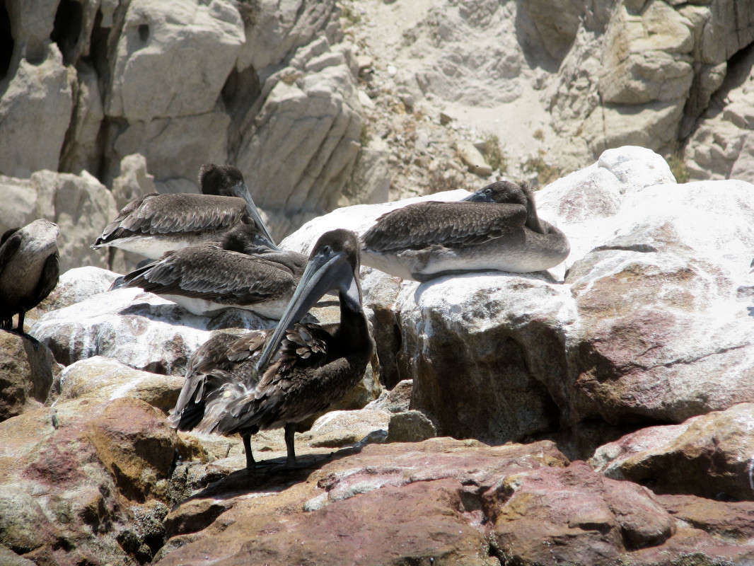 �������� ����� ���� ��������� �� PhotoGeek.ru #������� #���� ������� #�������