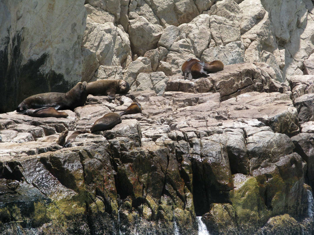 ������� ������� ����� ���� ��������� �� PhotoGeek.ru #������� #���� ������� #�����