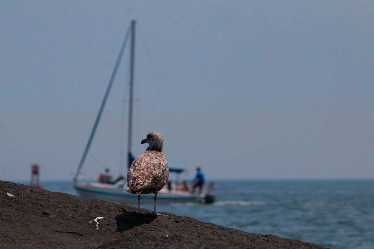 ��� ��������� ��������, ������ �� ��� ��� ������... ����� ���� ��������� �� PhotoGeek.ru