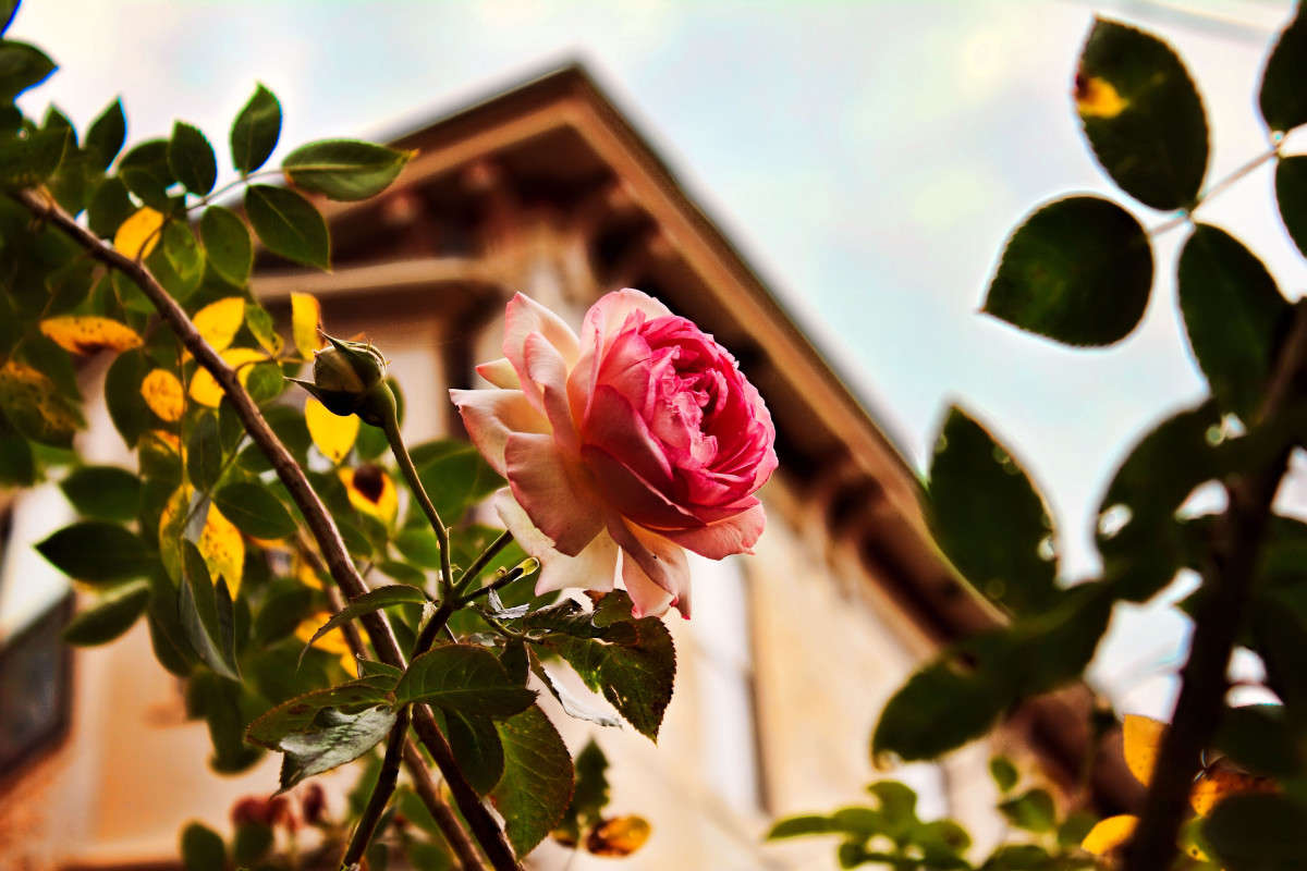 ������� ���� ����������� ����� ���� ��������� �� PhotoGeek.ru #����� #���� #�����